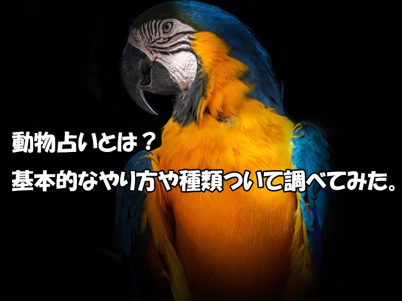動物占いとは 基本的なやり方や種類ついて調べてみた